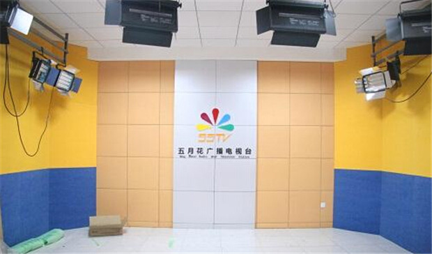 聚酯纖維吸音板行業(yè):雜牌聚酯纖維吸音板擾亂消費(fèi)者視線(xiàn)